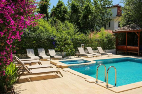 Luxury villa 5 minutes from scenic town center and river